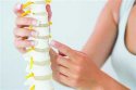 草莓视频黄色成人检测仪厂家为您讲解骨代谢的调节