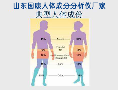 山东草莓影院网站草莓在线免费观看厂家告诉您人体的成分