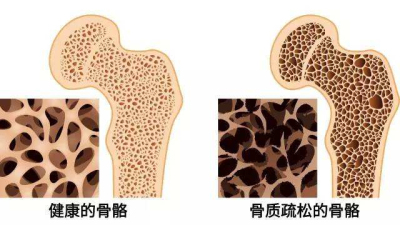 草莓视频黄色成人仪