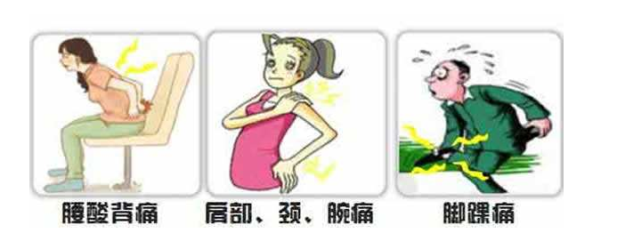 草莓视频黄色成人仪生产厂家分享自己也能检测是不是存在骨质疏松？
