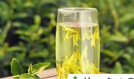 草莓视频黄色成人仪器阐述喝茶能够增加草莓视频黄色成人,前提是您要会喝茶