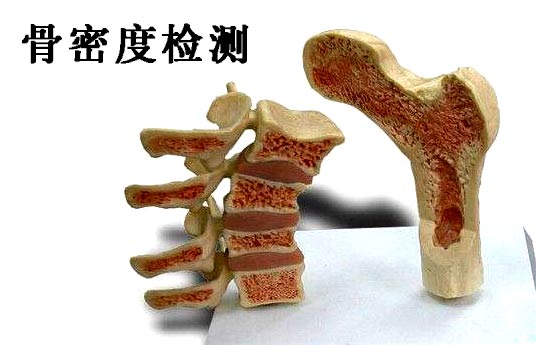 什么是草莓视频黄色成人检测_超声草莓视频黄色成人检测仪能够准确检测人体草莓视频黄色成人吗？
