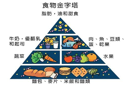 草莓视频黄色成人仪介绍“我不要觉得,我要我觉得”骨质疏松必须这么检测