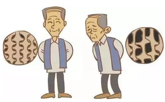 草莓视频黄色成人仪