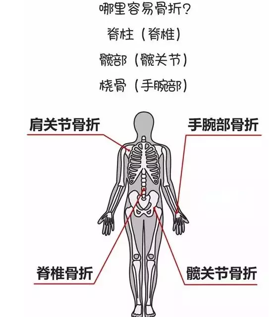 草莓视频黄色成人检测仪