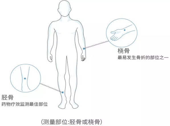 国产老年人超声波草莓视频黄色成人分析仪厂家