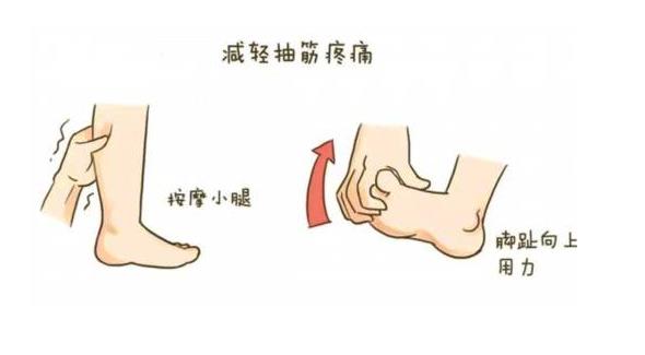 619草莓影院网站超声草莓视频黄色成人仪厂家关注:小腿抽筋怎么办?一定是缺钙吗?
